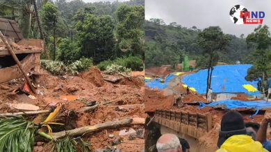 Photo of Wayanad Landslide : वायनाड भूस्खलन में तीन की मौत, राहत बचाव अभियान लगातार जारी रहा