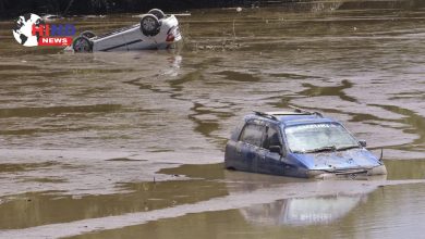 Photo of Assam Floods : असम में बारिश और बाढ़ का कहर, 68 मौतें, लाखों प्रभावित, राहत अभियान तेज जारी
