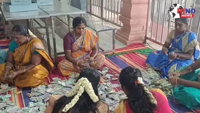 Photo of Temple Record : पलानी दंडायुथापाणी स्वामी मंदिर में चढ़ावे का नया रिकॉर्ड, आय हुई ऐतिहासिक