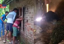Photo of Bear Terror : सुबह घर में घुसा जंगली भालू, पांच घंटे डटा रहा, ग्रामीणों में दहशत, वन विभाग सक्रिय रहा