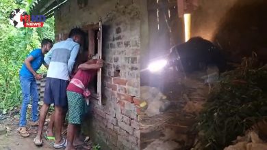 Photo of Bear Terror : सुबह घर में घुसा जंगली भालू, पांच घंटे डटा रहा, ग्रामीणों में दहशत, वन विभाग सक्रिय रहा