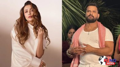 Photo of Malaika Furious : खेसारी लाल यादव के वायरल वीडियो पर भड़कीं मलाइका अरोड़ा, स्ट्रे डॉग संग दुर्व्यवहार पर नाराज