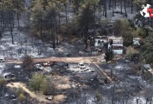 Photo of Greece Wildfire : ग्रीस जंगल आग त्रासदी में पिता पुत्र की मौत, मां गंभीर रूप से झुलसी
