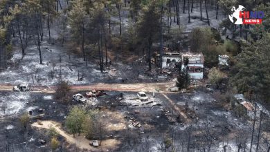 Photo of Greece Wildfire : ग्रीस जंगल आग त्रासदी में पिता पुत्र की मौत, मां गंभीर रूप से झुलसी