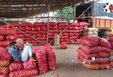 Photo of Onion Price Hike : प्याज खरीद कीमत बढ़ी किसानों को मिला बेहतर दाम सरकार का बड़ा फैसला