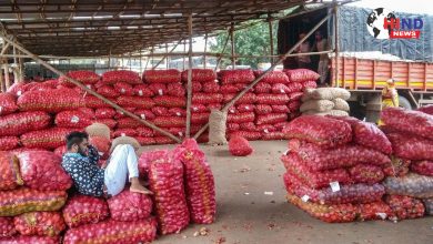Photo of Onion Price Hike : प्याज खरीद कीमत बढ़ी किसानों को मिला बेहतर दाम सरकार का बड़ा फैसला