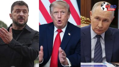 Photo of Trump Call : ट्रंप ने जेलेंस्की-पुतिन से की बातचीत, युद्ध समाप्ति पर दिया प्रस्ताव