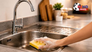 Photo of Home Cleaning : फर्श नहीं, घर की इन 5 छिपी जगहों में सबसे ज्यादा कीटाणु, रोज करें सफाई जरूरी