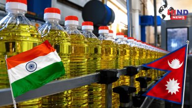 Photo of Edible Oil Import : नेपाल से शुल्कमुक्त खाद्य तेल आयात बढ़ा, घरेलू उद्योग ने सरकार से तत्काल समीक्षा मांगी