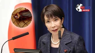 Photo of Japan PM : जापानी प्रधानमंत्री के घर मिला कॉकरोच, बोलीं राहत मिली लेकिन अकेलापन लगा, फिर भूतों पर छिड़ी बहस