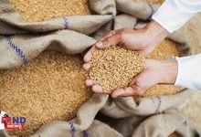 Photo of Wheat Export : गेहूं एक्सपोर्ट से हटी रोक, कारोबारियों को बड़ी राहत