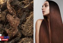 Photo of Hair Care : बालों को घना मजबूत चमकदार बनाने में बेहद असरदार मानी जाती है जटामांसी औषधि प्राकृतिक