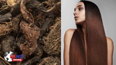 Photo of Hair Care : बालों को घना मजबूत चमकदार बनाने में बेहद असरदार मानी जाती है जटामांसी औषधि प्राकृतिक