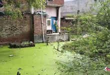 Photo of Waterlogging Crisis : अलमापुर में जलभराव से घरों में दरारें, गंदे पानी से ग्रामीण परेशान, बच्चे स्कूल जाने को मजबूर
