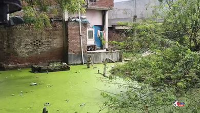Photo of Waterlogging Crisis : अलमापुर में जलभराव से घरों में दरारें, गंदे पानी से ग्रामीण परेशान, बच्चे स्कूल जाने को मजबूर