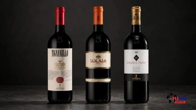 Photo of Italy Wine Heist : इटली में सात चोरों ने 54 करोड़ रुपये की वाइन चुराई, तीस हजार बोतलें लेकर फरार