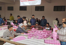 Photo of MLC Election Results 2026: यूपी में भाजपा की बढ़त, वाराणसी शिक्षक सीट पर सपा की जीत; चार राज्यों में मतगणना